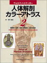 【中古】(新古品・未使用品) ヴォルフ-ハイデッガ-人体解剖カラ-アトラス (2)