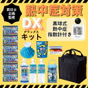 【翌営業日出荷】熱中症対策キット デラックス DX 黒球式熱中症指数計 セット 熱中症 対策グッズ キット 保冷バッグ 氷のう 経口補水液 補水対策飲料 水 クールタオル 冷感タオル アイスパット 塩タブレット カード式温度計 脱水 氷嚢