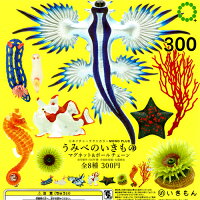 うみべのいきもの