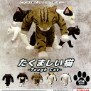 奇譚クラブ たくましい猫 -Tough Cat- 全5種セット