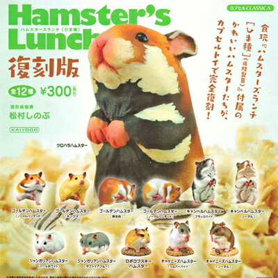 Cm Hamster'sLunch nX^[Y` Ђ܎  S12Zbg