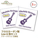 ウクレレ 弦 Low-G テナーウクレレ 交換弦 2セット lowg フロロカーボン弦 クリア ロージー ロウジー ハワイアン・コア オリジナル カーボン弦 送...