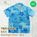 アロハシャツ 子供 キッズ TWO PARMS ハワイ 送料無料 ALOHA SHIRT 子供サイズ 衣装 ギフト 誕生日プレゼント 2024 (md)