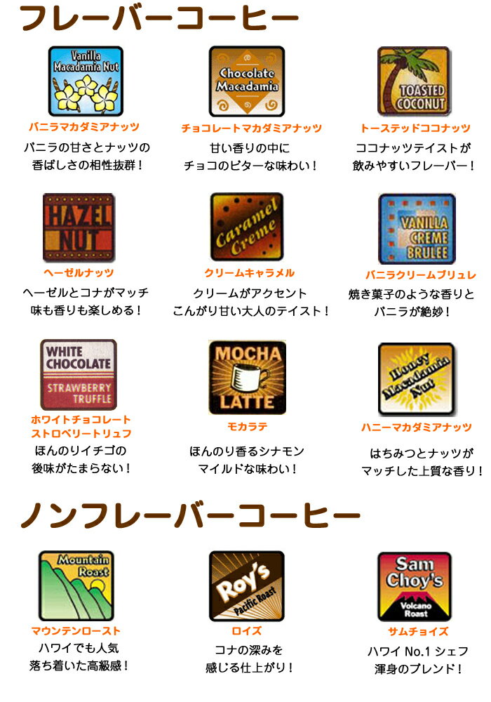 水出しコーヒー ボトル ロイヤルコナコーヒー アイスコーヒー セット ハワイコナ ハワイ ドリップ コーヒー 水出しポット 送料無料 お誕生日 お返し 珈琲 coffee 水出しアイスコーヒー