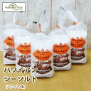 ハワイアンソルト 塩 パアカイ オールドタイムブランド シーソルト 5袋セット バーベキュー ハワイ塩 大量 ハワイ お土産 (ymcd)