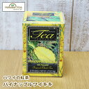 nC g eB[obO nCAACh nC̍g pCibvECLL 20eB[obO t[o[eB[ g nCEN hawaiian island tea