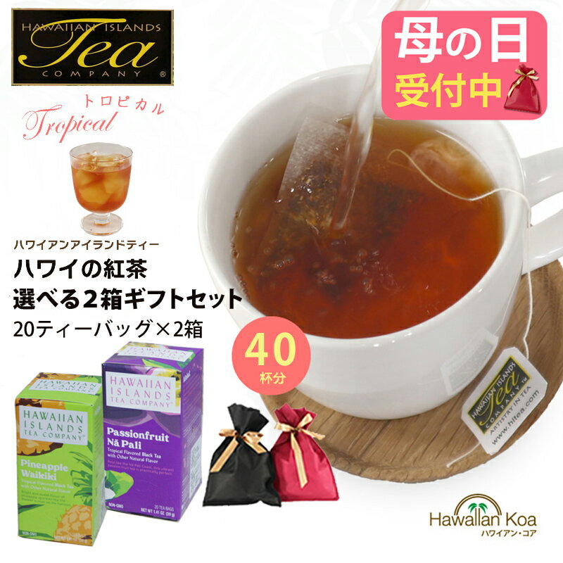遅れてごめんね 母の日 ギフト 父の日 誕生日プレゼント 紅茶 ギフトセット ティーバッグ トロピカルティー 選べる2箱セット ハワイの紅茶 フレーバーティー 贈り物 プレゼント ハワイ アイスティー hawaiian island tea お土産 内祝い お返し 2026 高級 (mother)(apm56)