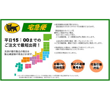 【送料無料】好きな生地で作るパウスカート!生地 丈 選べる パウスカート ハワイアン フラダンス フラ ホヌ カヒコ タパ 生地から選べる パウスカート シングルパウスカート パウ
