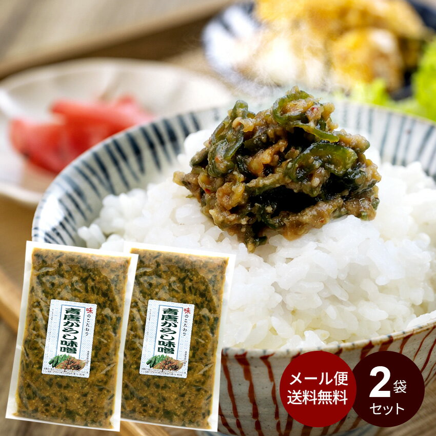 ＼6/4 20時～★P2倍／青唐がらし 味噌 （250g×2袋）ご飯のお供 おかず 福島 とうがらし みそ 青唐辛子 青唐辛子みそ 味噌 馬場音一商店 母の日