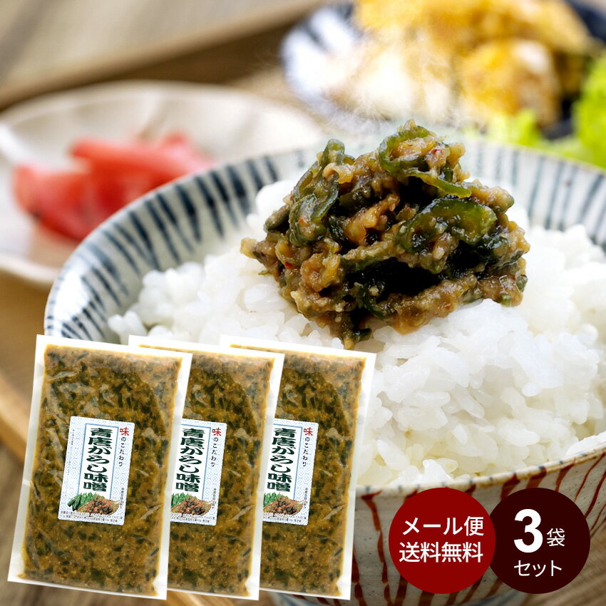 【3袋セット】青唐がらし 味噌 (250g×3袋)【メール便・送料無料】ご飯のお供 おかず 福島 とうがらし みそ 青唐辛子 青唐辛子みそ 味噌 馬場音一商店 寒中見舞い