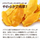 【メール便対応】ハワイアンホースト ドライマンゴー (100g)　ドライフルーツ 3