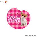 車両用マグネット わんこが乗っています|犬 ドッグ ペット トイプードル 柴犬 チワワ ビーグル コーギー ヨークシャテリア パグ ブルドッグ ダックスフンド ポメラニアン レトリバー 写真 実写 可愛い ステッカー 磁石 チェック 男の子 女の子