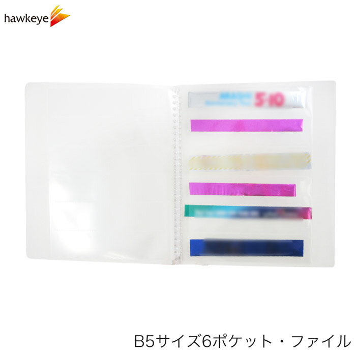 【B5 6P ファイル】B5 銀テープ リングバインダーファイル 透明6ポケット26穴リーフ5枚付属 内寸180mm×43mm【1つのみメール便対応可】｜テープ 保存 ケース 収納 方法 活用法 整理 レシート 入れ物 確定申告 コンサート ライブ