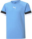 【5/18限定 ポイント10倍】 プーマ PUMA サッカー TEAMRISE ゲームシャツ JR 半袖 ジュニア クラブ 部活動 サークル 練習着 トレーニングウェア Tシャツ スポーツウェア プラクティスシャツ 705140 18(4)