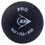 GWݥ10ܡ DUNLOP åץƥ˥ PRO XX DA50036