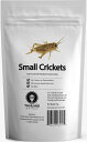 【4/30からポイント10倍】 ジェイアールユニーク JR Unique Small Crickets15g ヨーロッパイエコオロギ15g スポーツ TIU00...