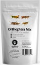【4/30からポイント10倍】 ジェイアールユニーク JR Unique Orthoptera mix15g バッタミックス15g スポーツ TIU0010