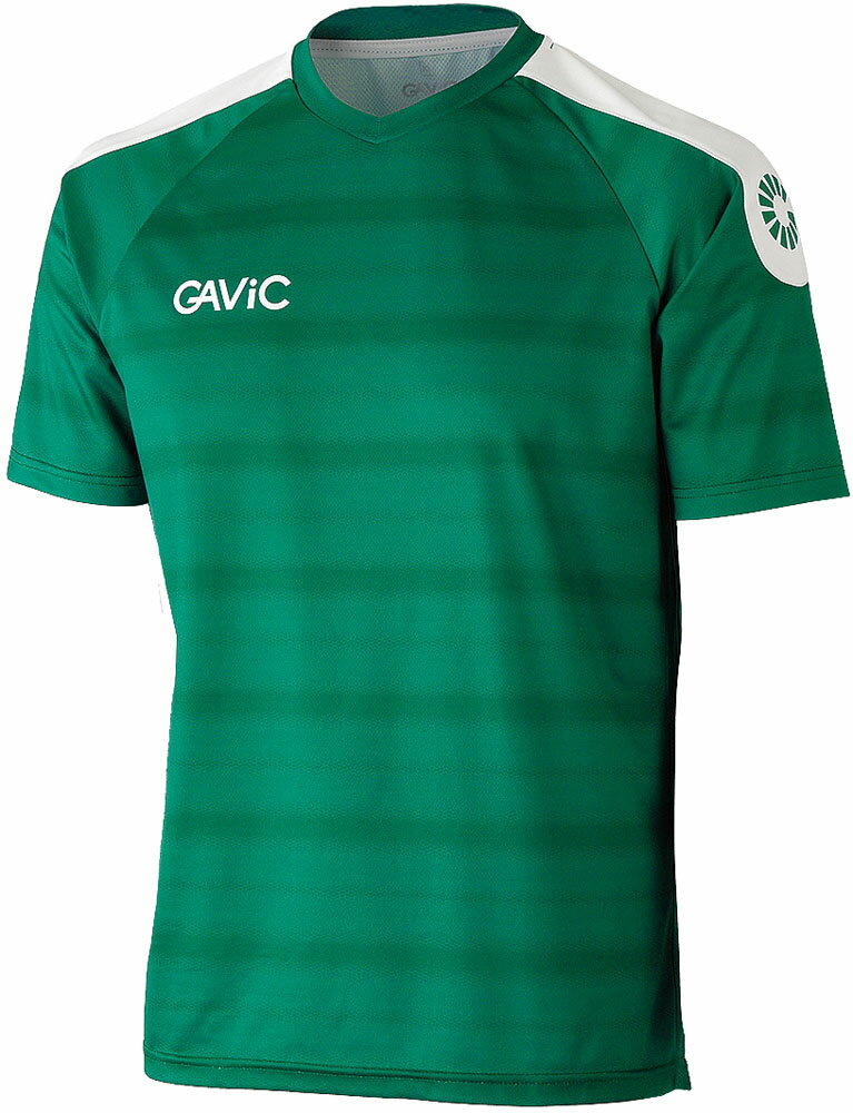 6/20ϥݥ10ܡ ӥå GAViC å AKڥȥå GA6163 GRN