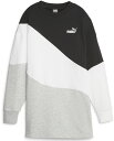 【GW期間中ポイント10倍！】 PUMA プーマ PUMA POWER キャット クルースウェット TR 678457 01