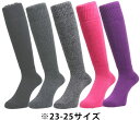 【5/6までポイント10倍】 ノースピーク north peak スノーボード マイン mine ソックス 2足組 ウィンタースポーツ向け スノーボード スキー...