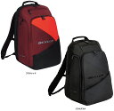 【8/24 20時から全品4%OFFクーポン&Pアップ】 ダンロップ DUNLOP テニス バックパック DTC-2482 DTC2482