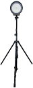 【5/6までポイント10倍】 ゼット学校体育 【メーカー直送品】 ハイエンドLEDスタンドライト ZHED200W