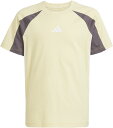 アディダス adidas シーズナル エッセンシャルズ カラーブロック半袖Tシャツ キッズ ショートスリーブ レギュラーフィット クルーネック ジュニア 子供 ...