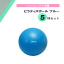 【9/18は全品4%OFFクーポン&P10倍】 トーエイライト TOEI LIGHT ピラティスボール200 ブルー 5球セット 学校 体育 器具 部活 クラブ スクール バランス 体幹 トレーニング フィットネス 介護 リハビリ 柔軟性 弾力性 H9345BS5