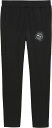 【9/25はMAX1万円OFFクーポン&P10倍】 プーマ PUMA ACTIVE SPORTS グラフィック PT TR B 528276