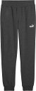 【9/25はMAX1万円OFFクーポン&P10倍】 プーマ PUMA ESS スモール NO.1 ロゴ スウェット PT TR CL 687534