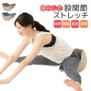 ストレッチ 開脚 クッション 器具 補助 椅子 トレーニング グッズ エクササイズ 引き締め ゆらゆら 柔軟性 体幹 下半身 股関節 前屈 サポート 足パカ 運動 自宅 健康 ケア 悩み 解消グッズ おうちトレーニング 簡単 かんたん 楽ちん 体幹開脚ストレッチクッション 166(4)