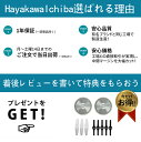 hayakawa2021:10001099のサンプル画像3