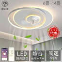 シーリングファンライト dcモーター シーリングファン 6畳 おしゃれ ファンライト 照明 LED DCモーター 調光 調色 天井照明 薄型 電球色 逆回転 照...