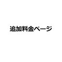 追加料金専用ページ　オプション選択　追加料金