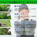hayakawa2021:10001399のサンプル画像2