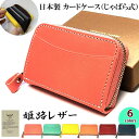 カードケース 姫路レザー 本革 じゃばら アコーディオン 広がる 日本製 牛革 6カラー ピンク ターコイズブルー ベージュ イエロー レッド ネイビー 国産 コンパクト おしゃれ ラッピング ギフト 箱入り レディース メンズ プレゼント(4)