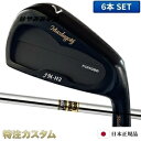 マスダゴルフ JM-H2アイアン（JMH2） 6本セット（#5〜PW）BLACK FINISH（PVDブラック）ダイナミックゴールド S200,X100（Dynamic Gold S200,X100) Masda Golf 2023年モデル [ジャンボ尾崎 尾崎将司 監修][メーカーカスタム][特注][日本正規品][日本仕様][右打用]