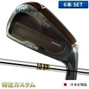 マスダゴルフ JM-H2アイアン(JMH2) 6本セット(#5〜PW)銅メッキ(カッパー)仕上げ 2023年モデル ダイナミックゴールド S200,X100(D...