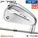 テーラーメイド P790 アイアン 5本セット(#6-PW)日本正規品 2025年モデル ダイナミックゴールド S200,X100(Dynamic Gold S...
