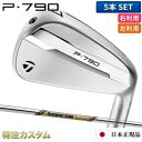 テーラーメイド P790 アイアン 5本セット(#6-PW)日本正規品 2025年モデル ダイナミックゴールド EX ツアーイシュー(Dynamic Gold ...