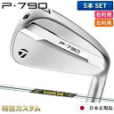 テーラーメイド P790 アイアン 5本セット(#6-PW)日本正規品 2025年モデル ダイナミックゴールド MID 115 S200,X100(Dynami...