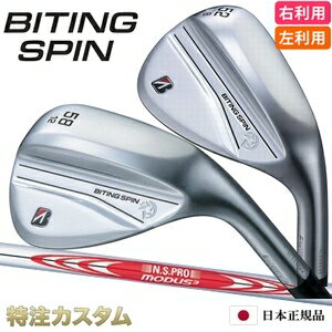 bspin-modus120.jpg bspin-modus120.jpg