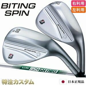 bspin-ns950neo.jpg bspin-ns950neo.jpg