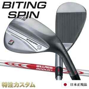 bspinno-modus105.jpg bspinno-modus105.jpg