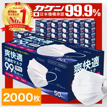 ☆総合1位受賞 本日限定価格☆【耳が痛くならないマスク】 マスク 2000枚 50枚×40箱 不織布 オメガプリーツ 立体 3D カラー 日本企画 平ゴム 不織布マスク 不織布 包装 メンズ 大きめ こども やわらか いつもの 夏 大人 安い 使い捨て 爽快適 母の日 ギフト