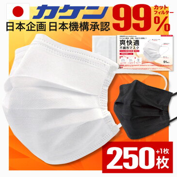 ☆本日限定価格☆【耳が痛くならない不織布マスク】 マスク 5箱 250枚 +5枚 不織布 カラー 日本企画 平ゴム 不織布マスク 黒 包装 メンズ 大きめ こども やわらか いつもの 耳が痛くならない 夏 大人 安い おしゃれ 使い捨てマスク 立体 送料無料 爽快適