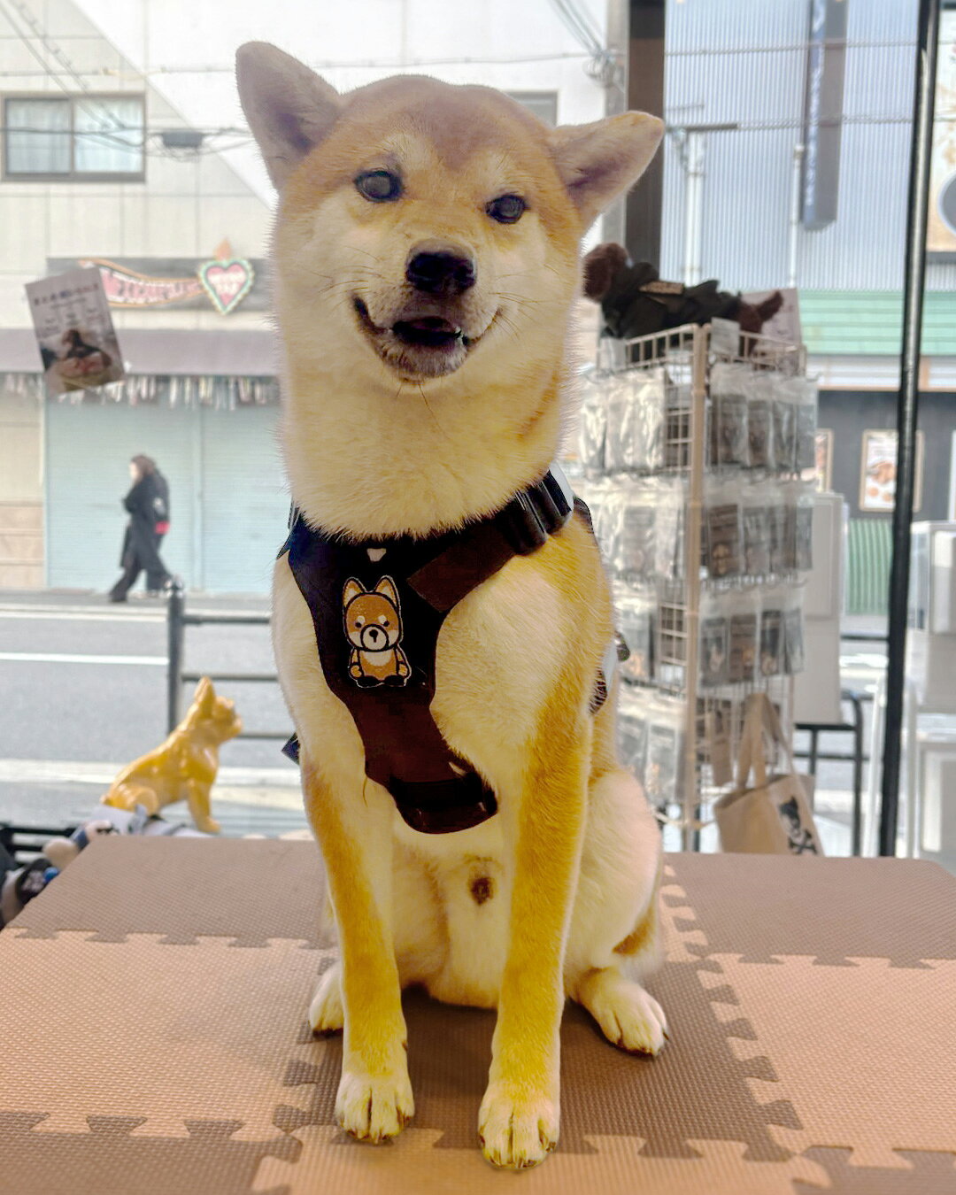 【KILONINER日本公式ショップ】 キャラクター パッチ - 柴犬 キロナイナー ワッペ...