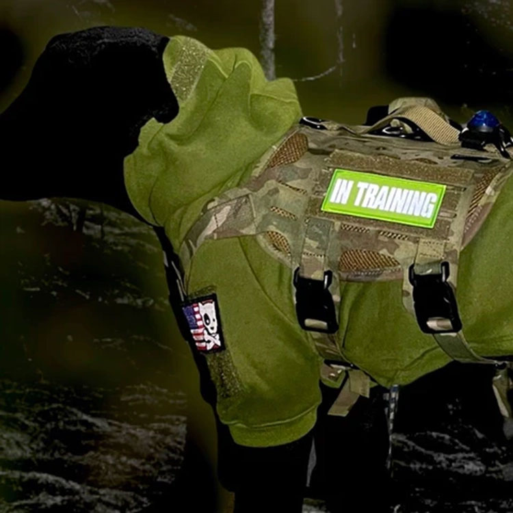 【KILONINER日本公式ショップ】 キロナイナー パッチ ワッペン ミリタリー ペット 犬 猫 おしゃれ かわいいリフレクティブ ハイ ビジビリティ パッチReflective High Visibility IN TRAINING Patch / Green