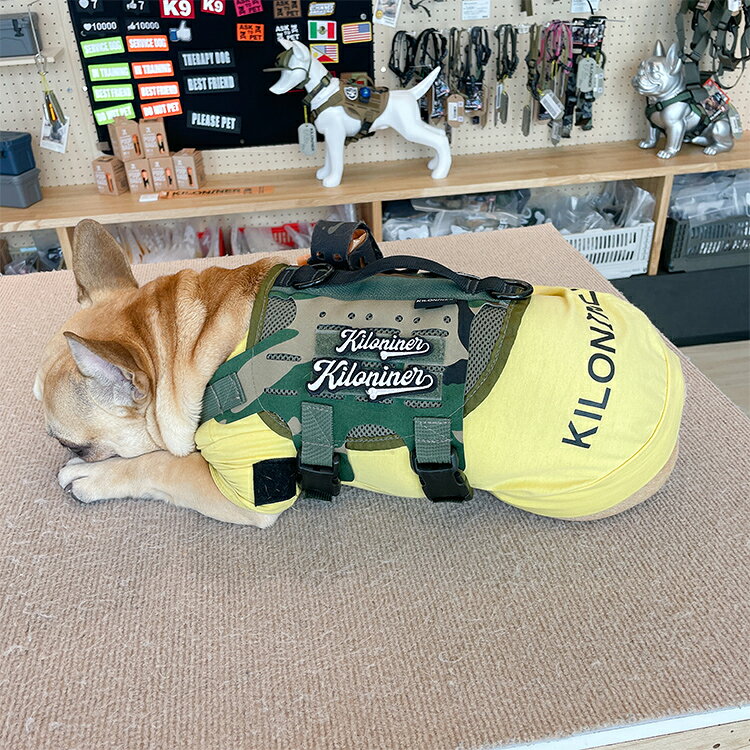【KILONINER日本公式ショップ】Big League Patch／ペット ペット用品 犬 猫 散歩 ...