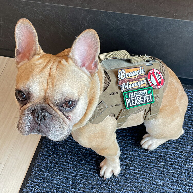 【KILONINER日本公式ショップ】Branch Manager Patch／ペット 犬 猫 散歩 ハーネス...